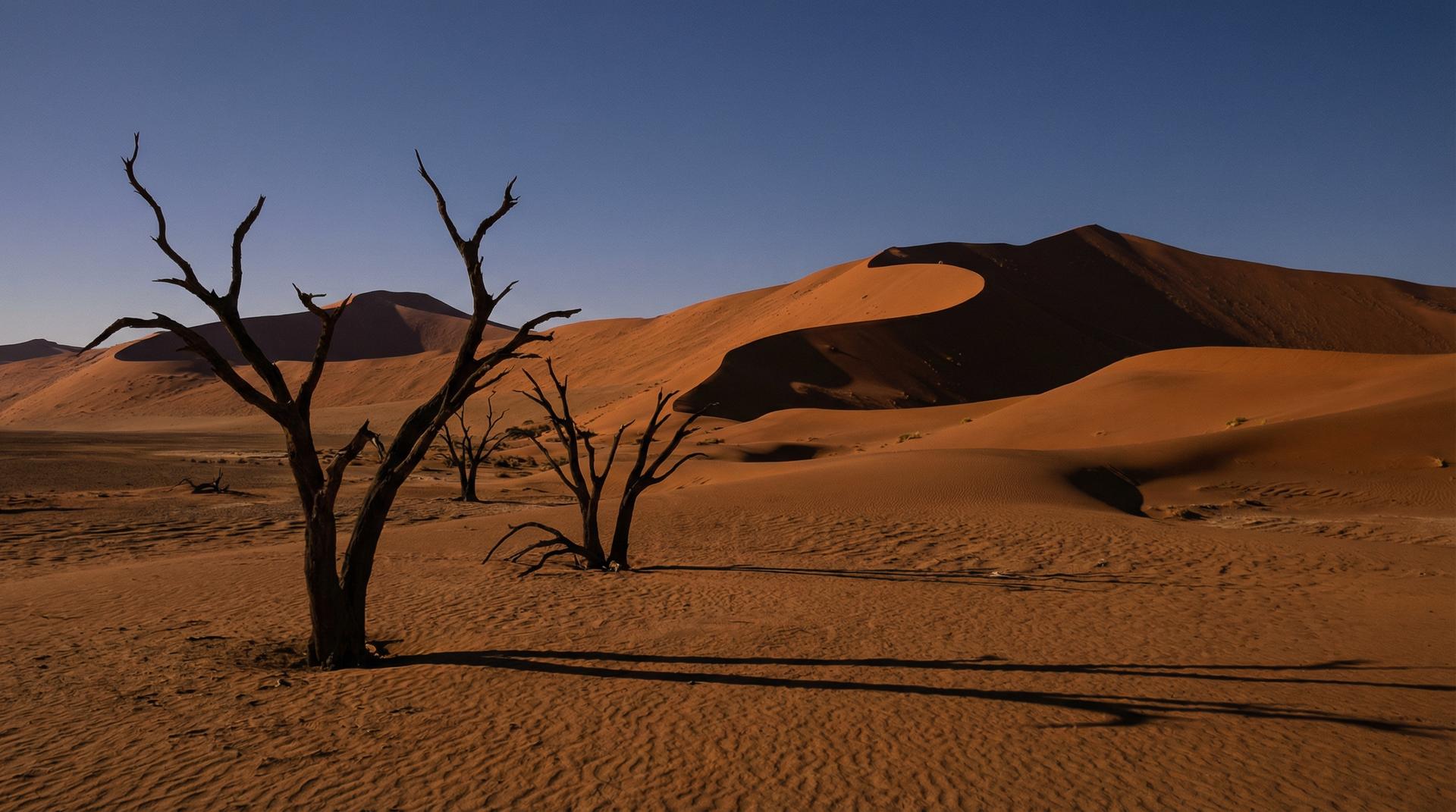 茄子视频美食视频教程